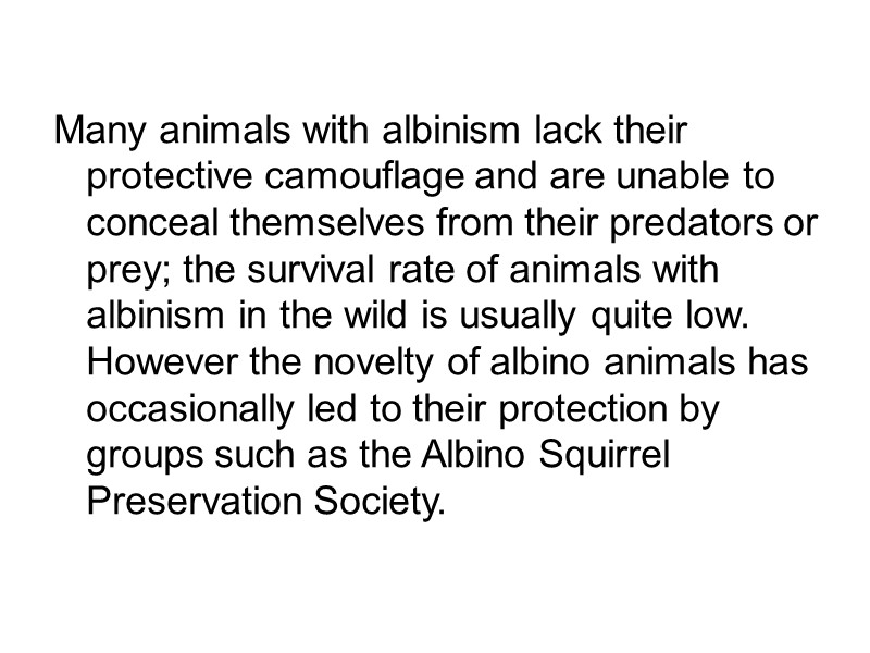 Many animals with albinism lack their protective camouflage and are unable to conceal themselves